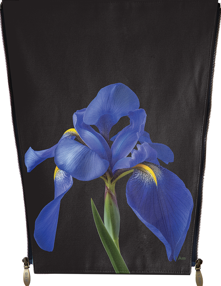 Flowers - 3D blue flower