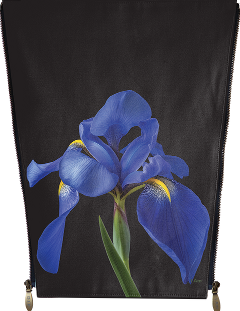 Flowers - 3D blue flower