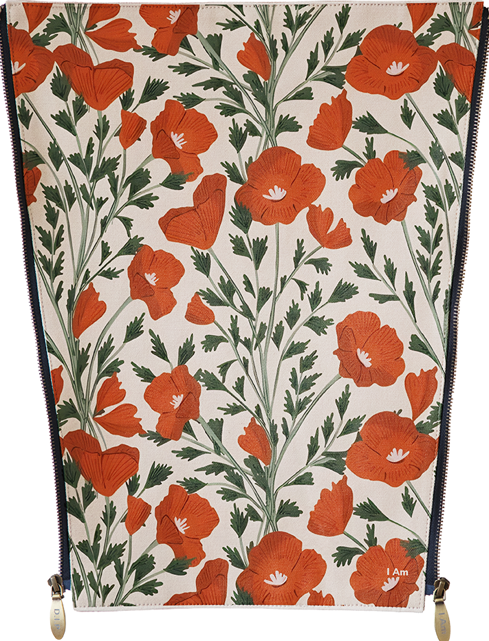 Flowers - Poppies