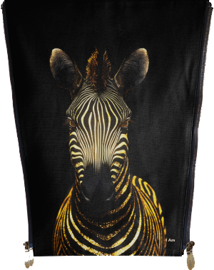 Animal - Zebra